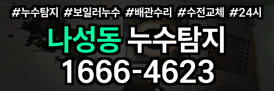 나성동 누수탐지