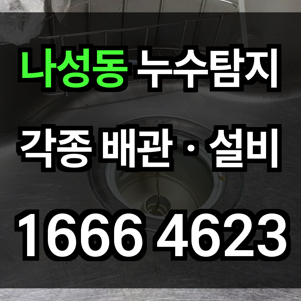 나성동 누수탐지
