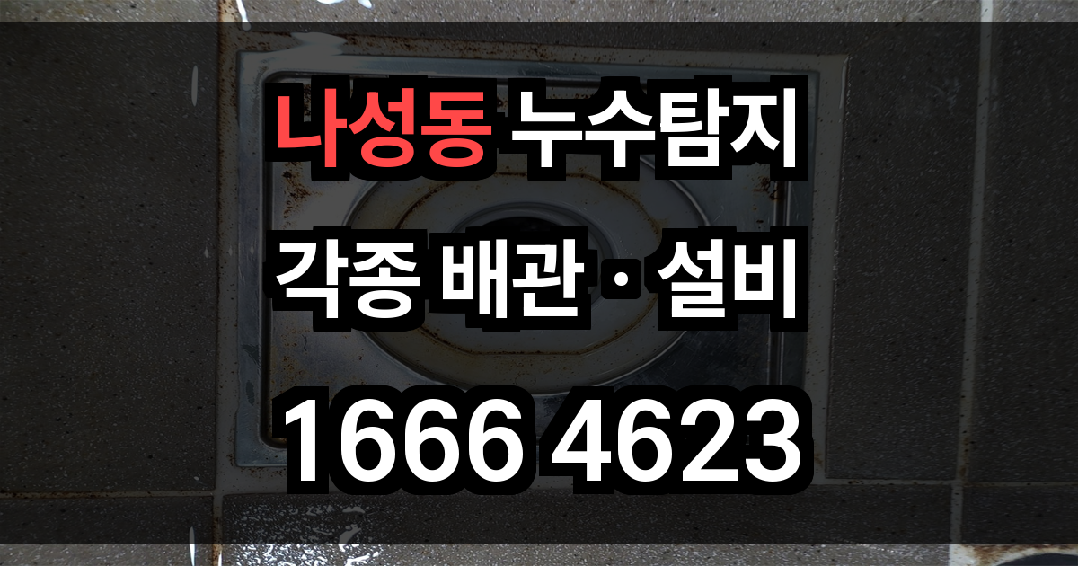 나성동 누수탐지