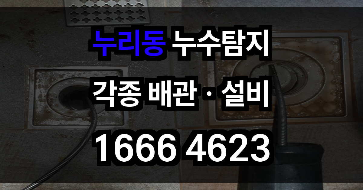 누리동 누수탐지