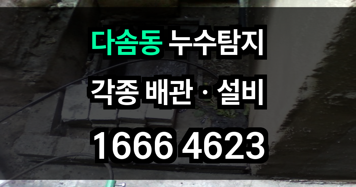 다솜동 누수탐지