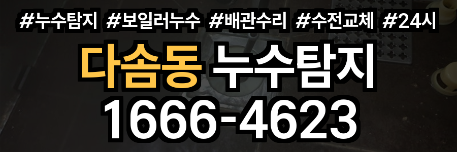 다솜동 누수탐지