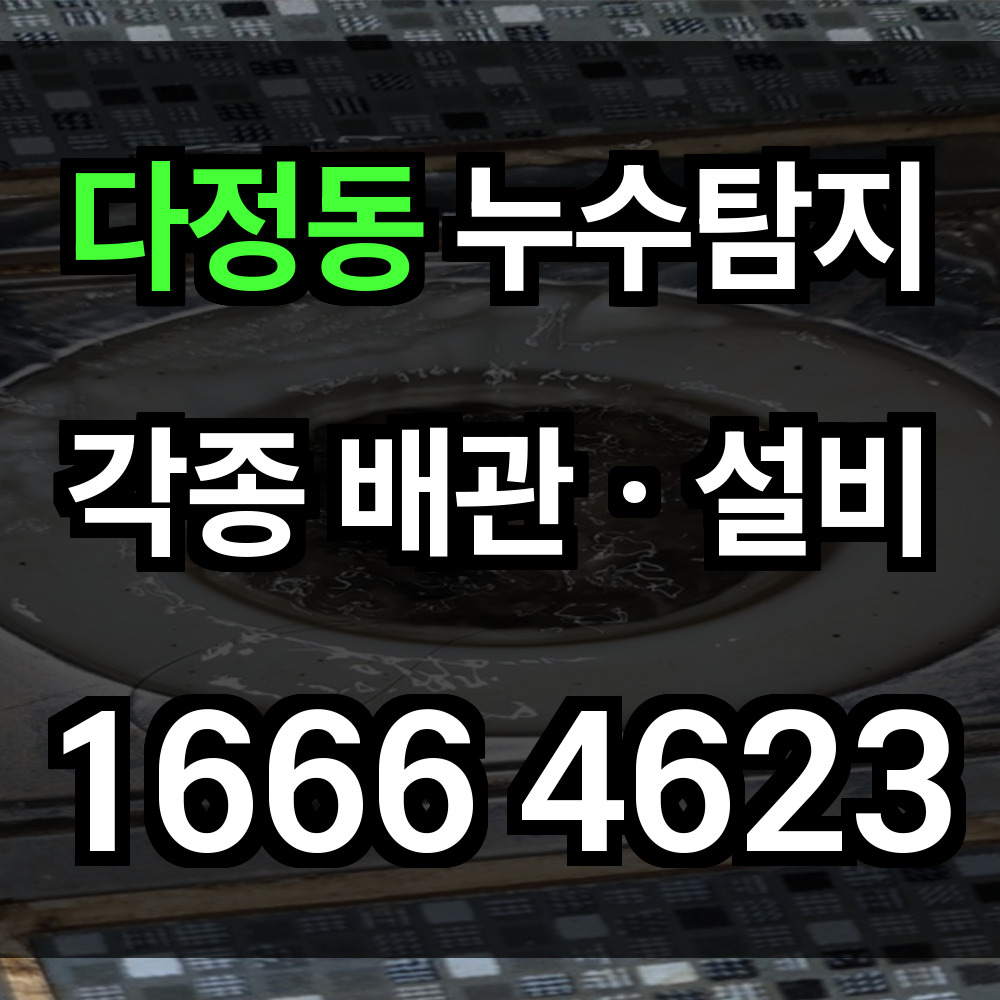 다정동 누수탐지