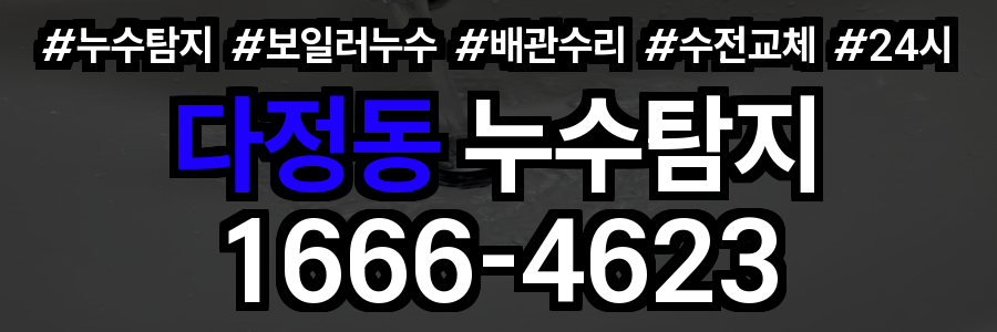 다정동 누수탐지