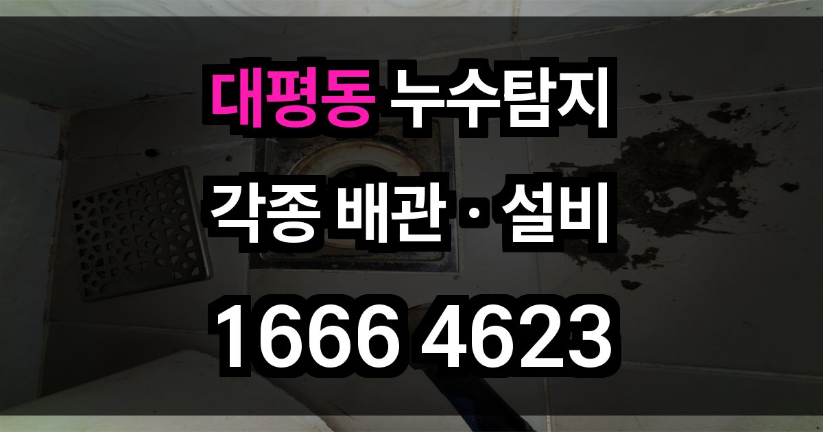 대평동 누수탐지
