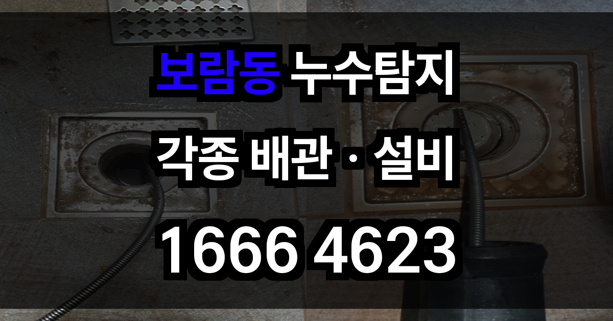 보람동 누수탐지