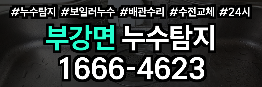 부강면 누수탐지