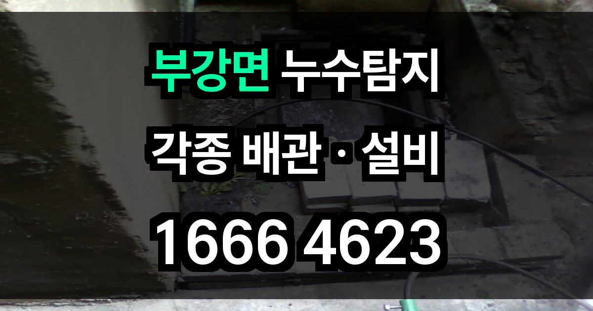 부강면 누수탐지