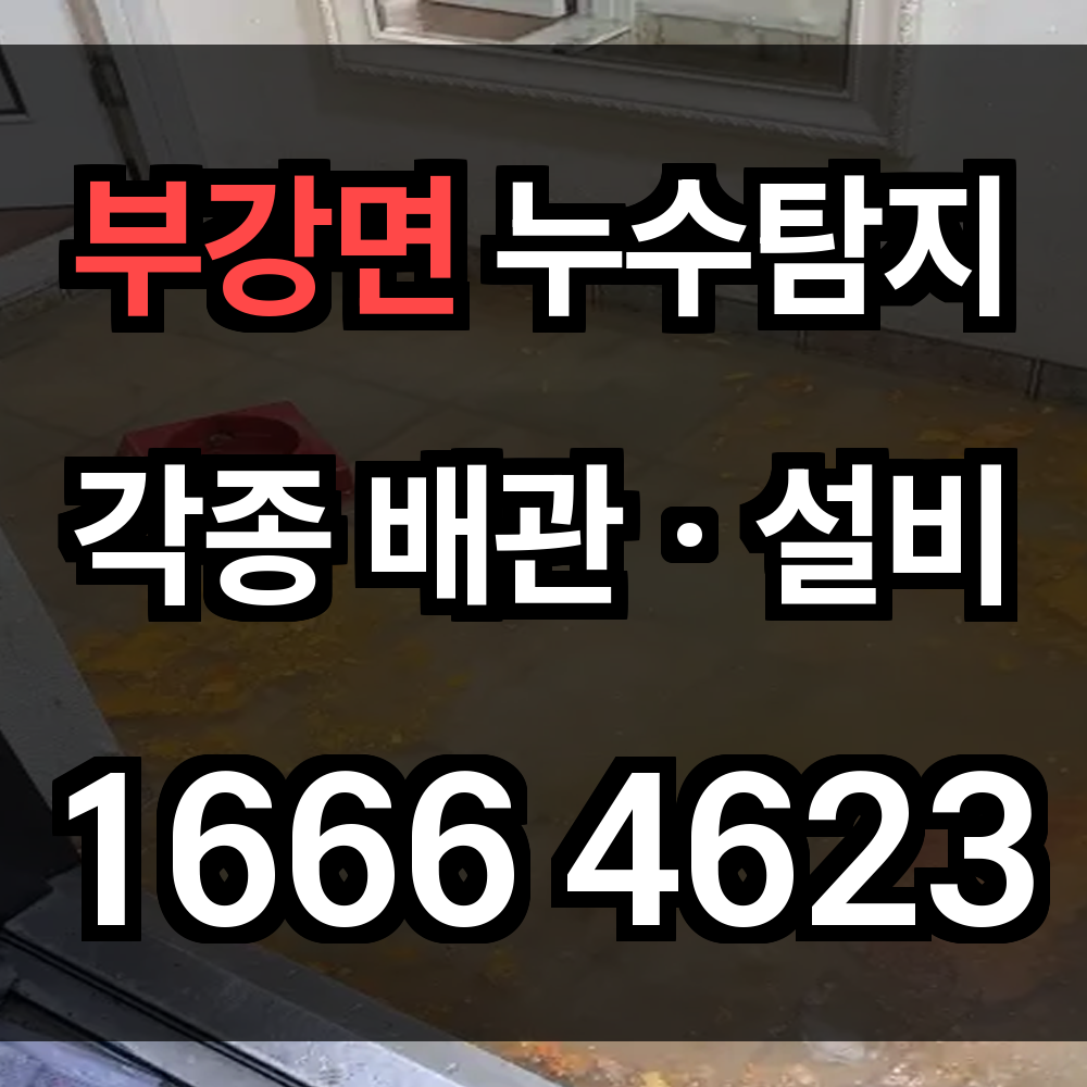 부강면 누수탐지
