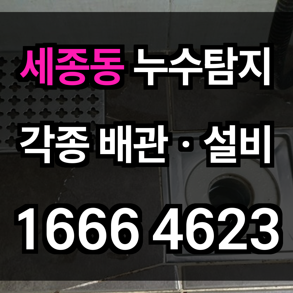세종동 누수탐지