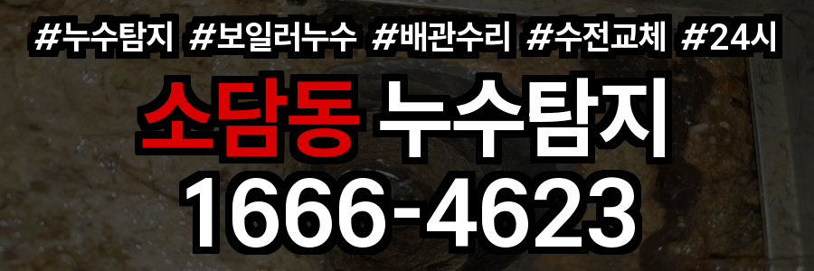소담동 누수탐지