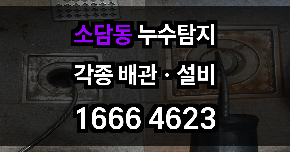 소담동 누수탐지