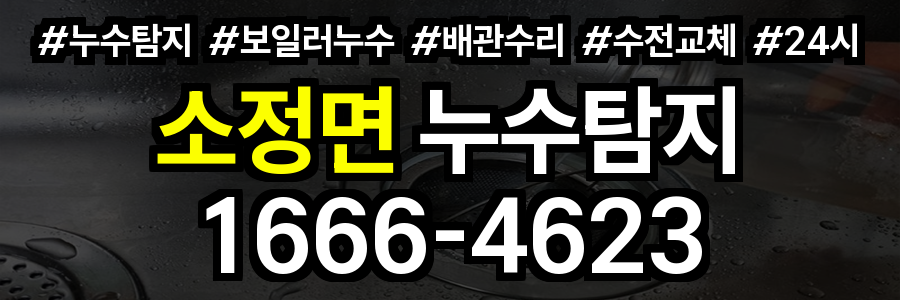 소정면 누수탐지