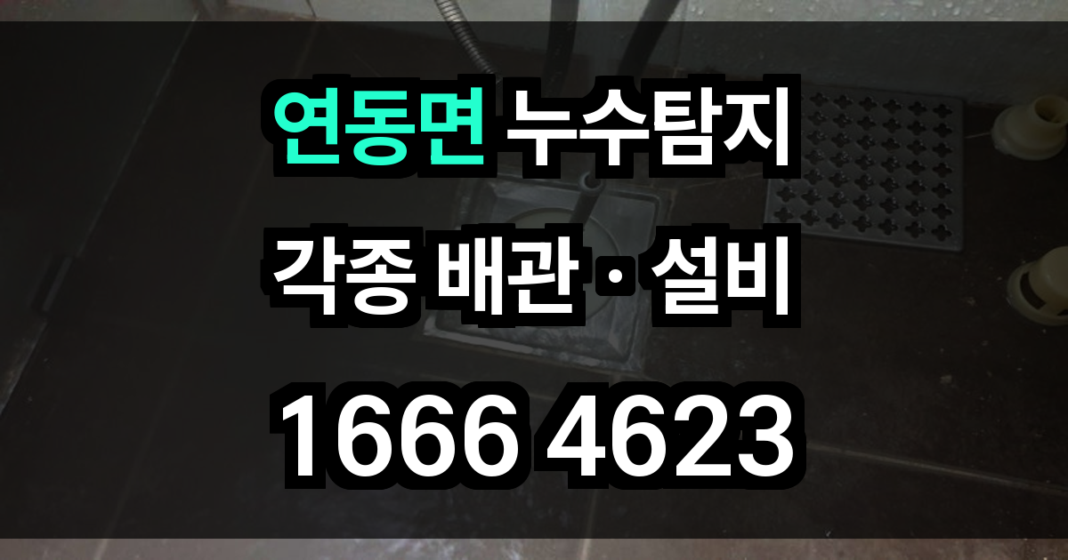 연동면 누수탐지