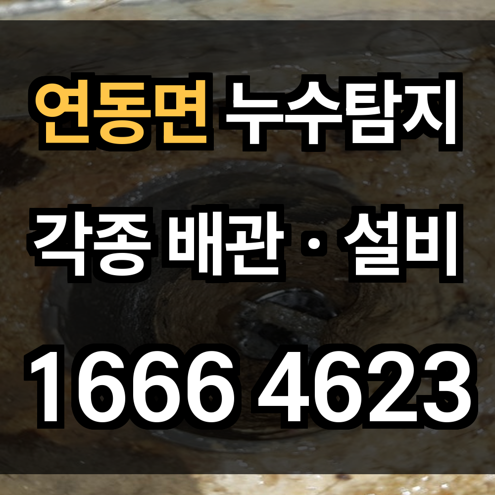 연동면 누수탐지