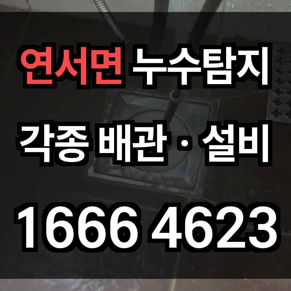 연서면 누수탐지