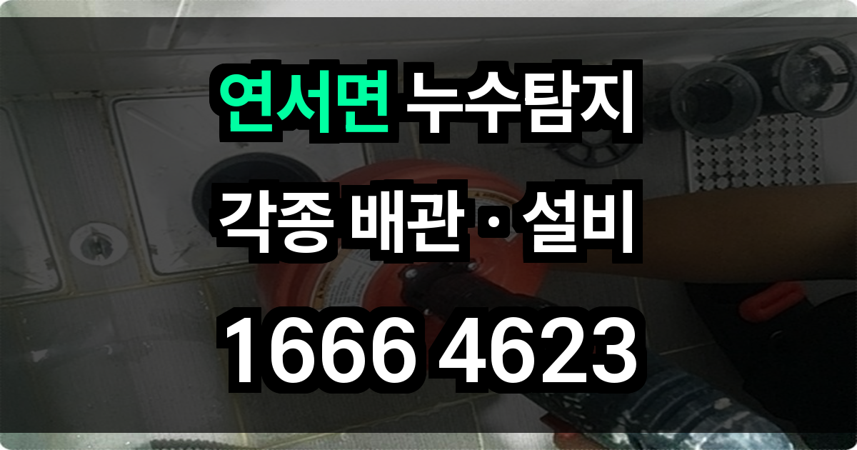 연서면 누수탐지