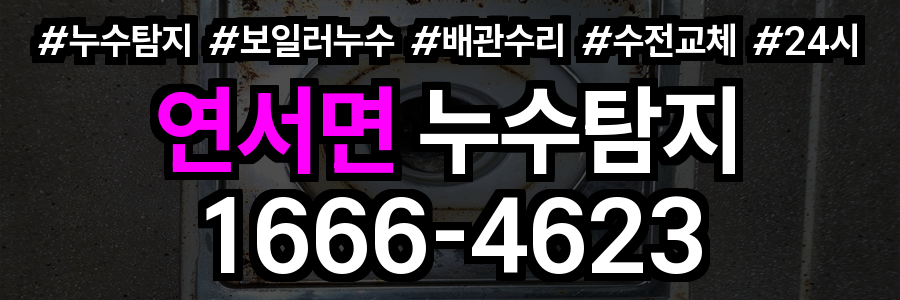 연서면 누수탐지