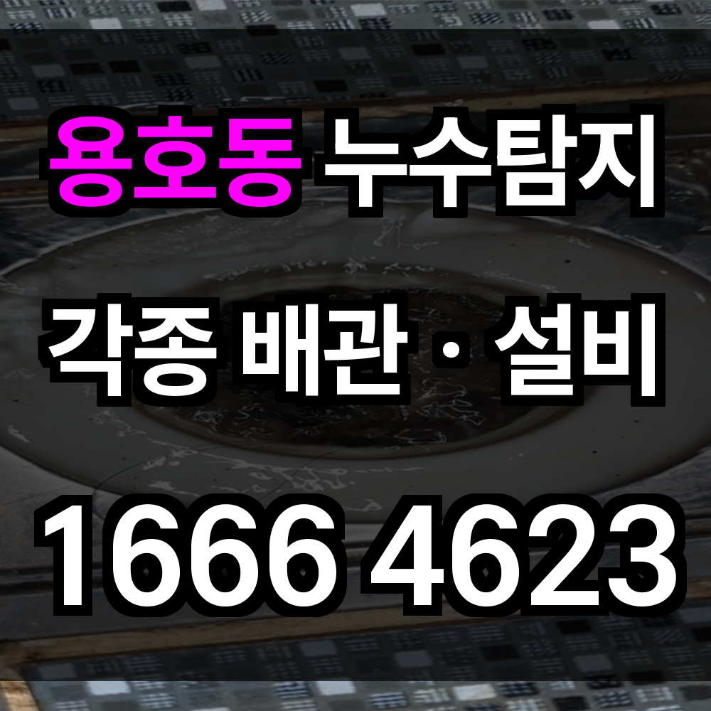 용호동 누수탐지