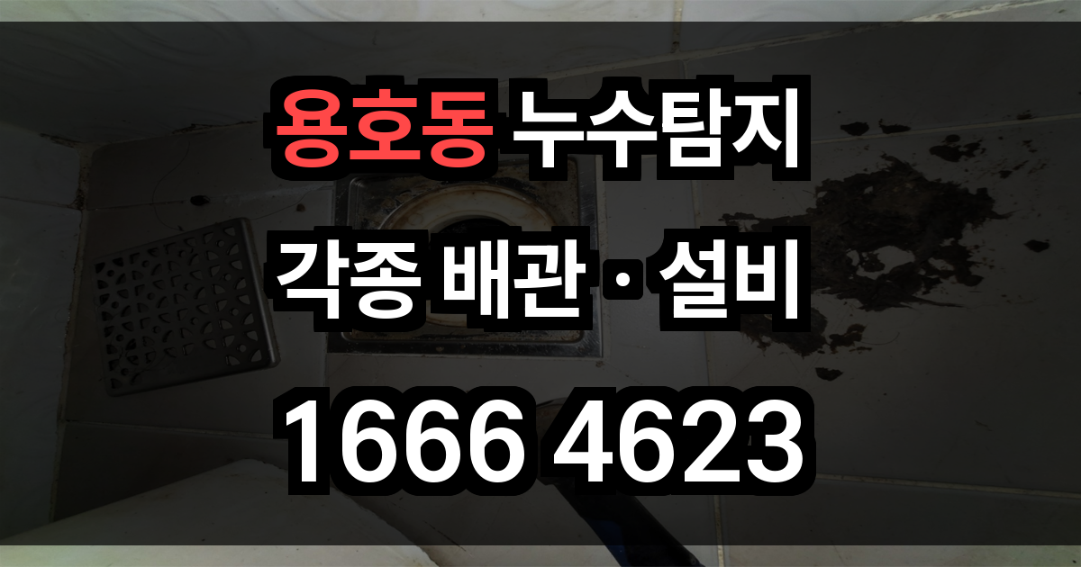 용호동 누수탐지