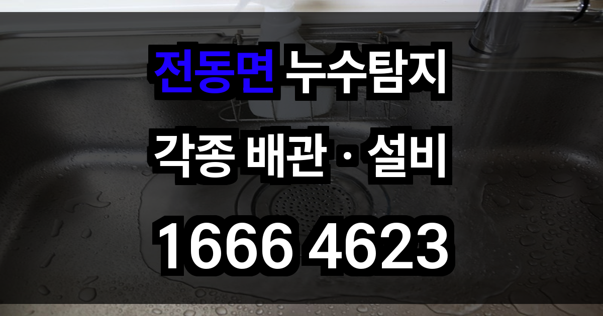 전동면 누수탐지
