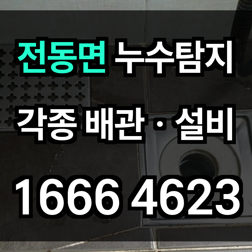 전동면 누수탐지