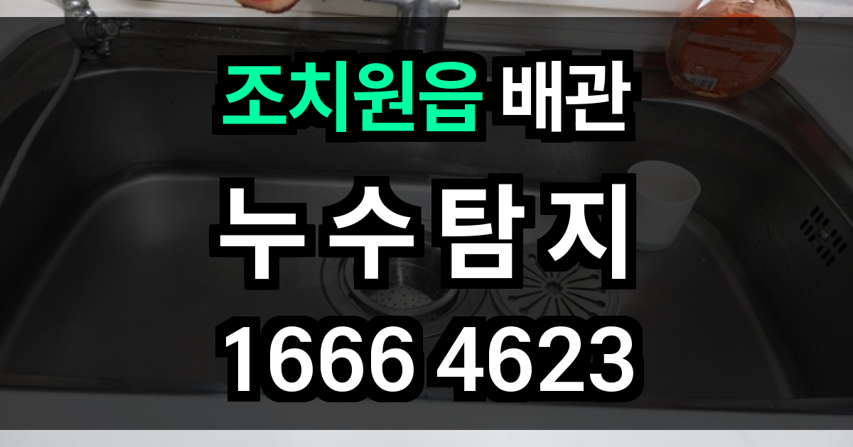 조치원읍 누수탐지