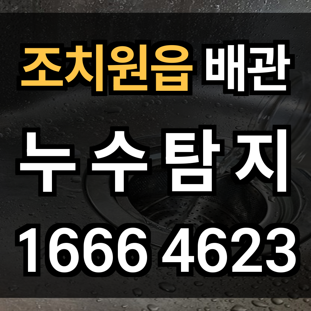 조치원읍 누수탐지