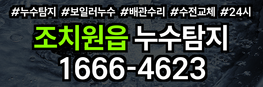 조치원읍 누수탐지