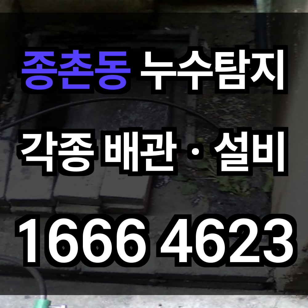 종촌동 누수탐지