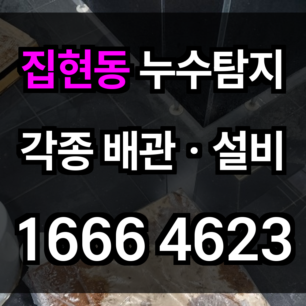 집현동 누수탐지