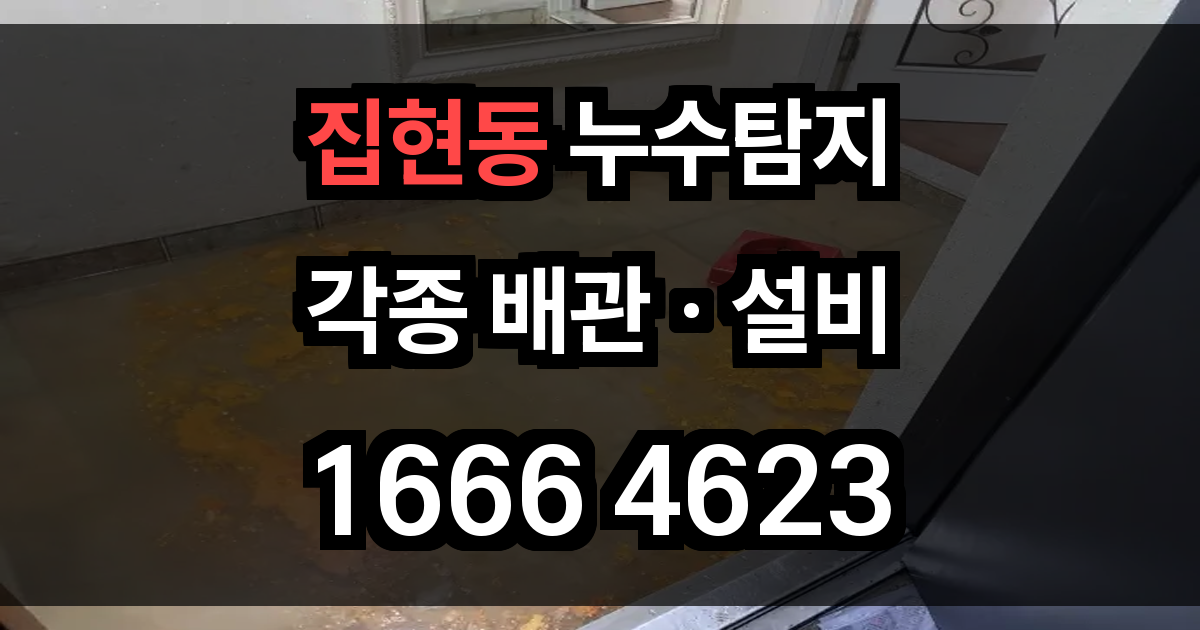 집현동 누수탐지