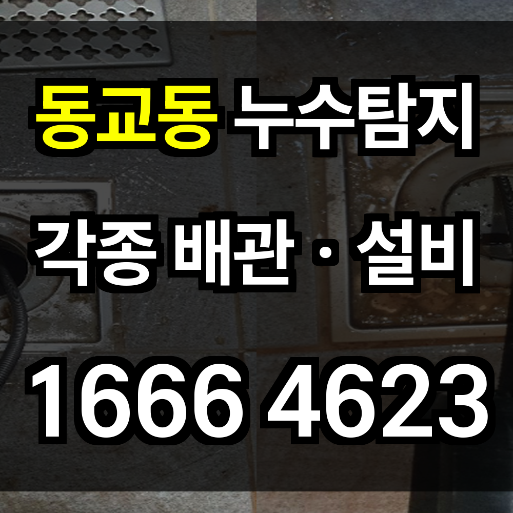 동교동 누수탐지