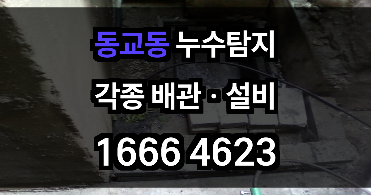 동교동 누수탐지
