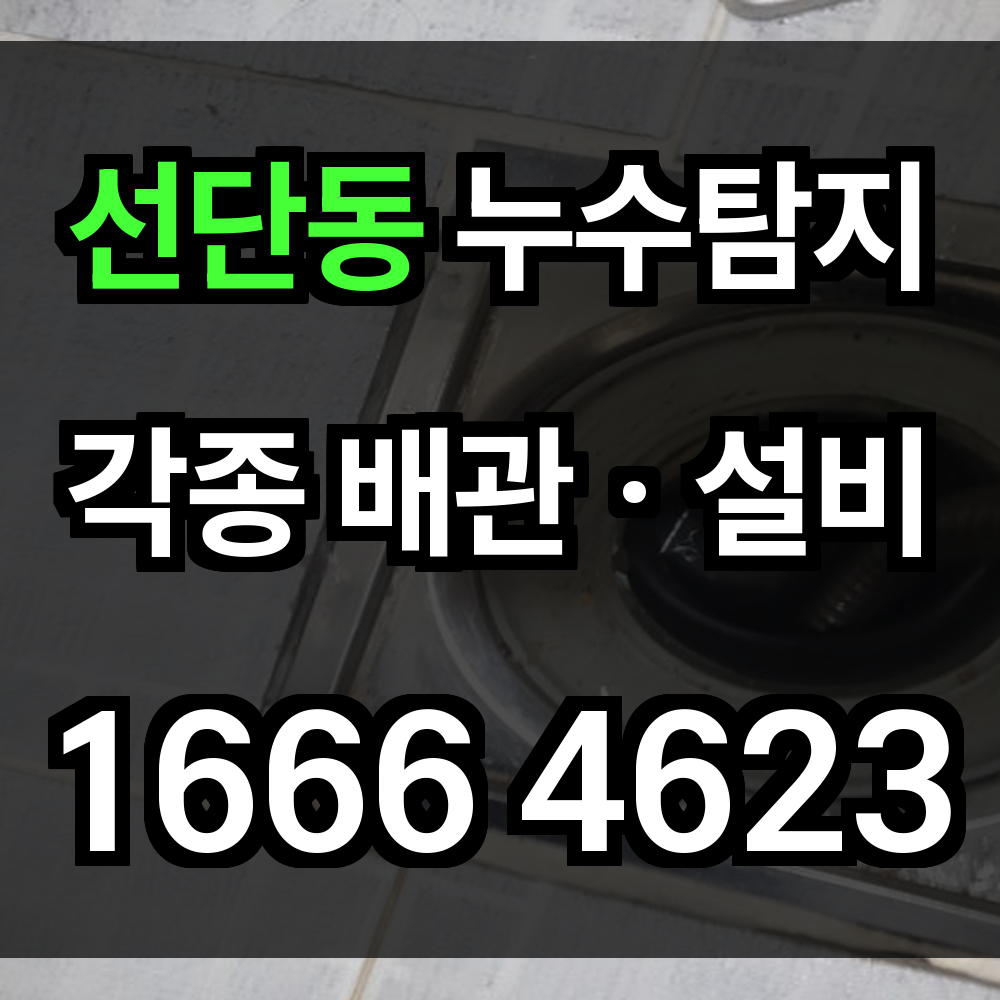 선단동 누수탐지