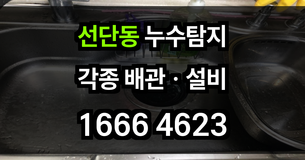 선단동 누수탐지