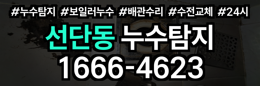 선단동 누수탐지