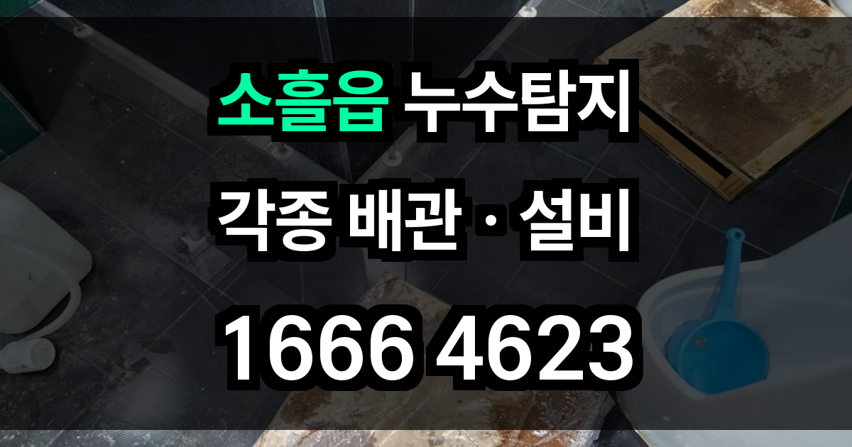 소흘읍 누수탐지