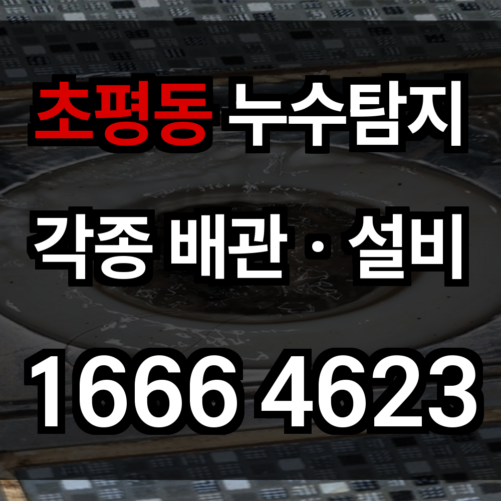 초평동 누수탐지