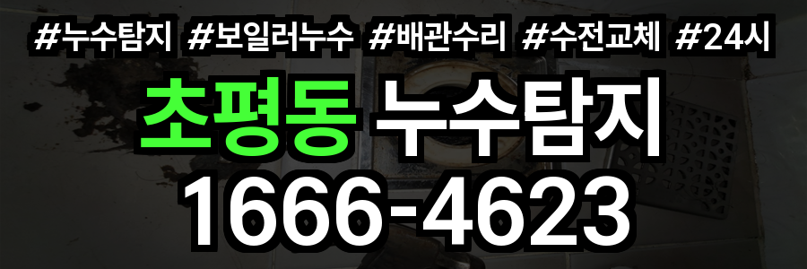 초평동 누수탐지