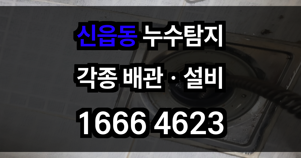 신읍동 누수탐지