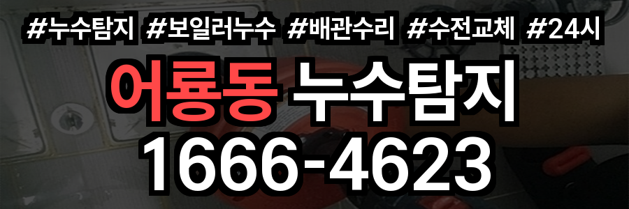 어룡동 누수탐지
