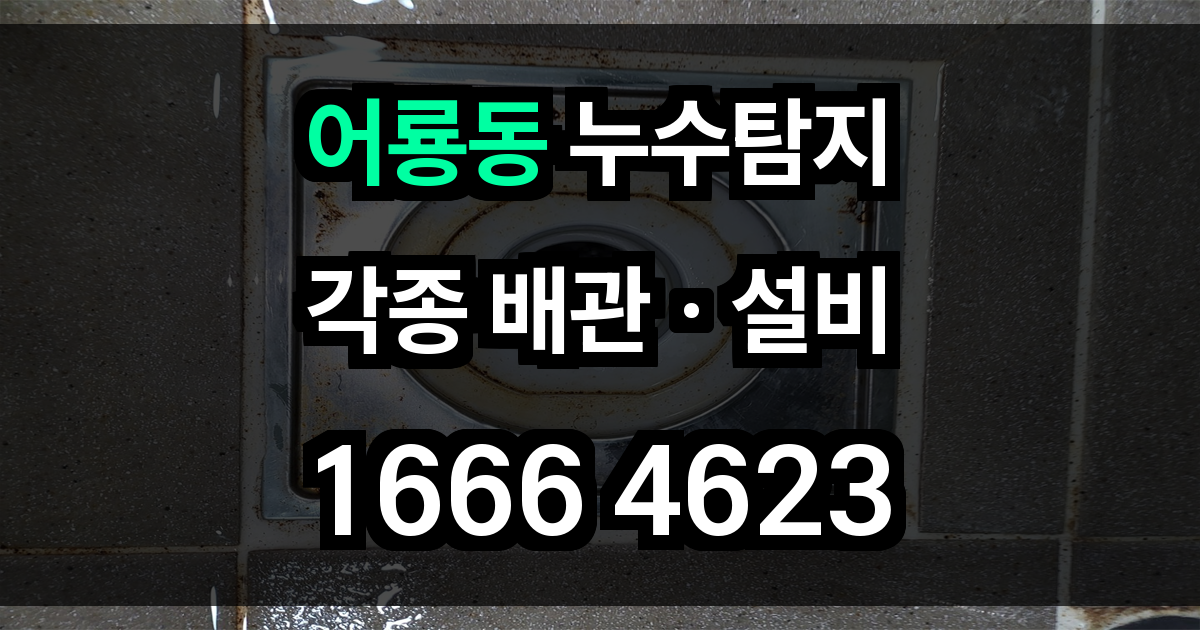 어룡동 누수탐지