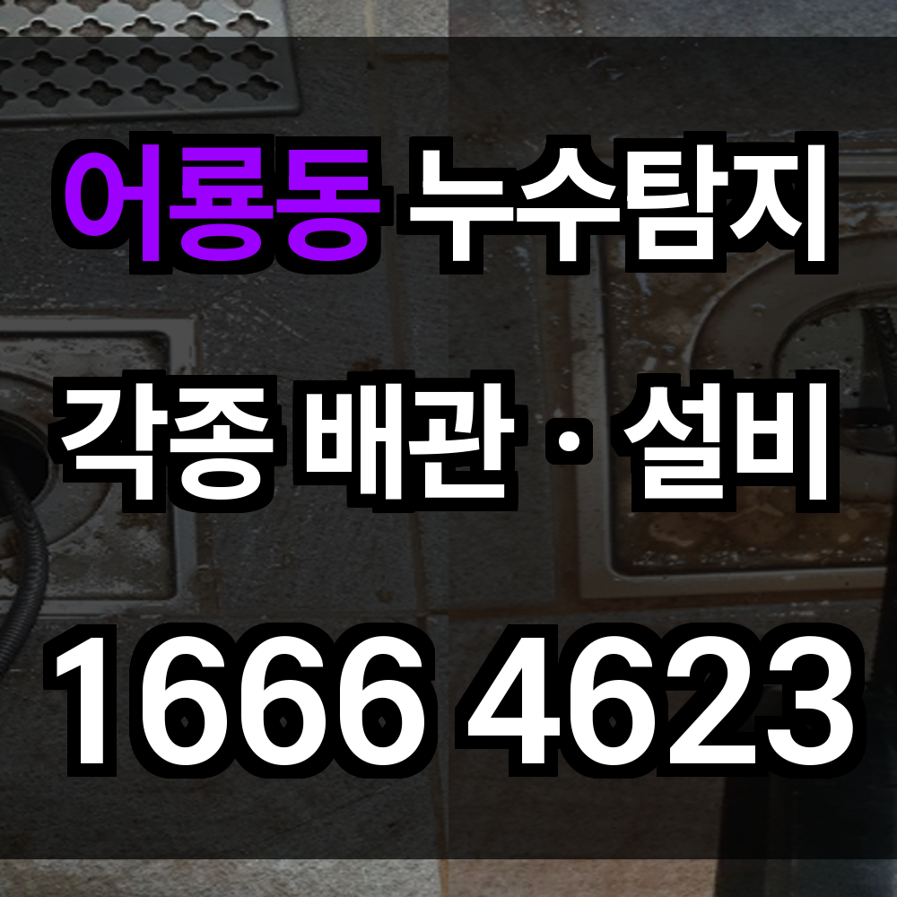 어룡동 누수탐지