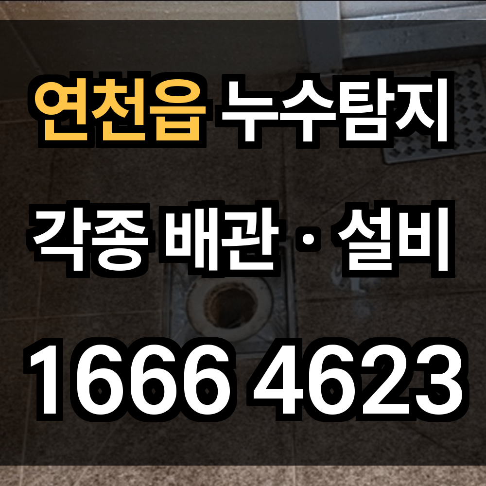 연천읍 누수탐지