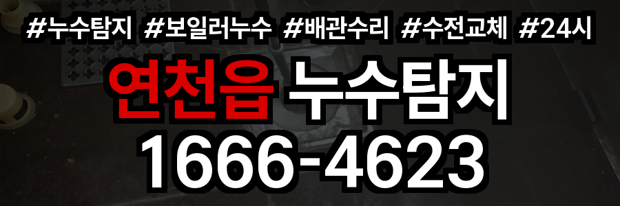 연천읍 누수탐지