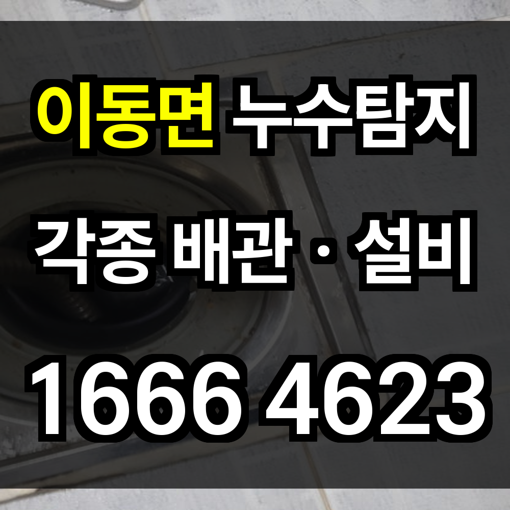 이동면 누수탐지