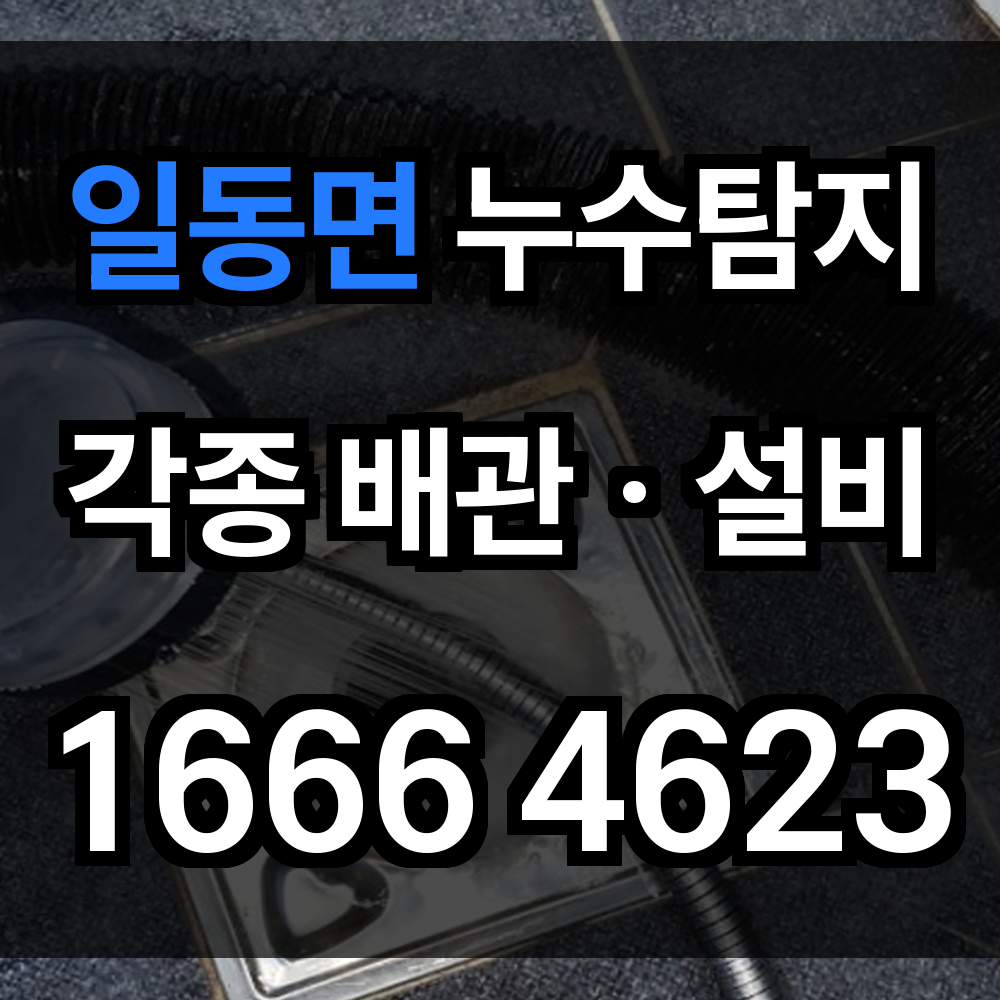 일동면 누수탐지