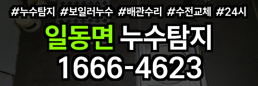 일동면 누수탐지