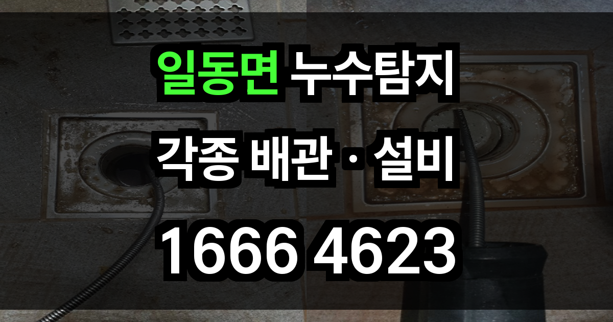 일동면 누수탐지